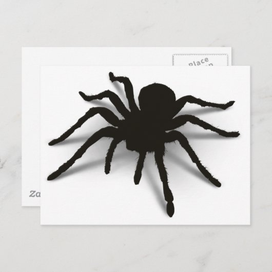 Carte Postale Araignée 3D (Devant / Derrière)