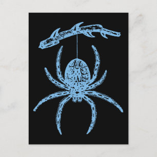 Carte Postale Araignée bleue