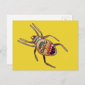 Carte Postale Araignée colorée art arachnien (Devant / Derrière)