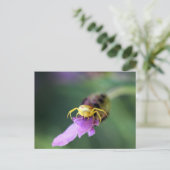 Carte Postale Araignée de crabe à fleurs (Debout devant)