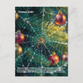 Carte Postale Araignée de Noël (Devant)