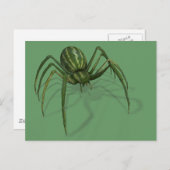 Carte Postale Araignée de pastèque rare (Devant / Derrière)