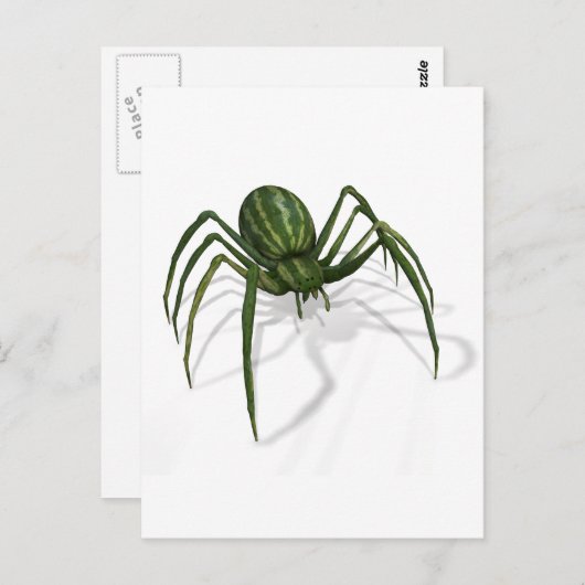 Carte Postale Araignée de pastèque rare (Devant / Derrière)