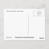 Carte Postale Araignée de saut salticide sur Dusty Miller (Dos)