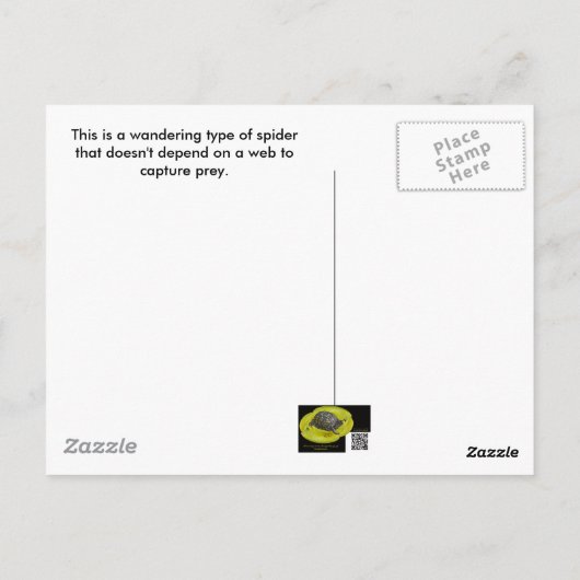 Carte Postale Araignée errante dans l'herbe (Dos)