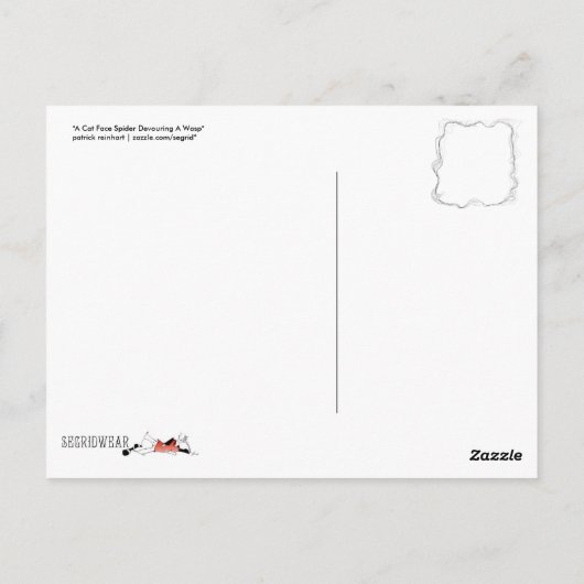 Carte Postale Araignée faciale de chat dévorer une guêpe (Dos)