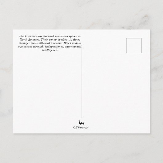 Carte Postale Araignée noire (Dos)
