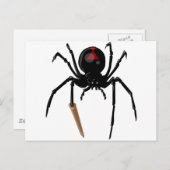 Carte Postale araignée noire (Devant / Derrière)