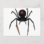 Carte Postale araignée noire (Devant)