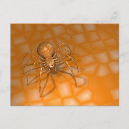 Carte Postale Araignée orange (Devant)