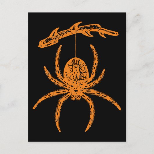 Carte Postale Araignée orange d'Halloween (Devant)