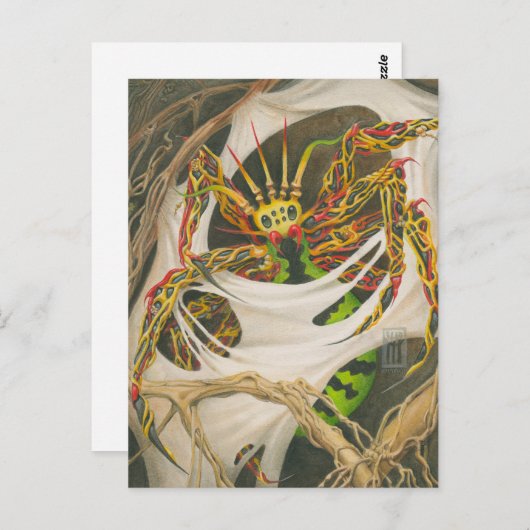 Carte Postale Araignée racine (Devant / Derrière)