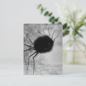 Carte Postale Araignée souriante par Odilon Redon, Halloween Vin (Debout devant)