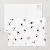 Carte Postale araignées (Devant / Derrière)