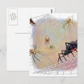 Carte postale Araignées (Devant / Derrière)