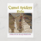 Carte Postale Araignées (Devant)