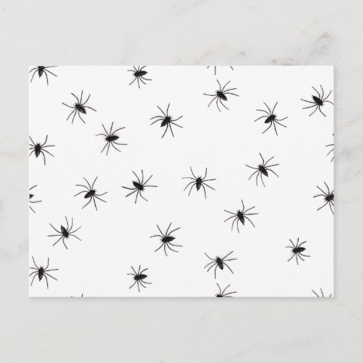 Carte Postale Araignées (Devant)