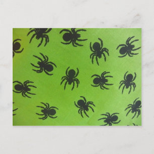 Carte Postale Araignées Effrayantes