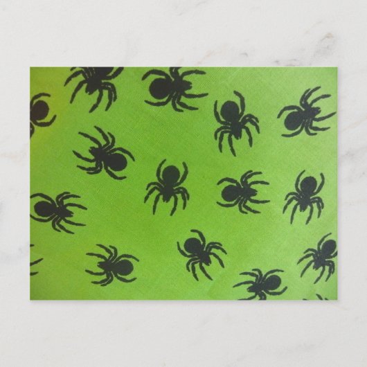 Carte Postale Araignées Effrayantes (Devant)