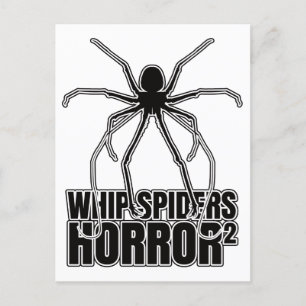 Carte Postale Araignées Whip Scorpion Amblypygi - Entomologie