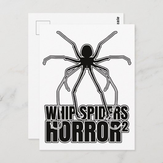 Carte Postale Araignées Whip Scorpion Amblypygi - Entomologie (Devant / Derrière)