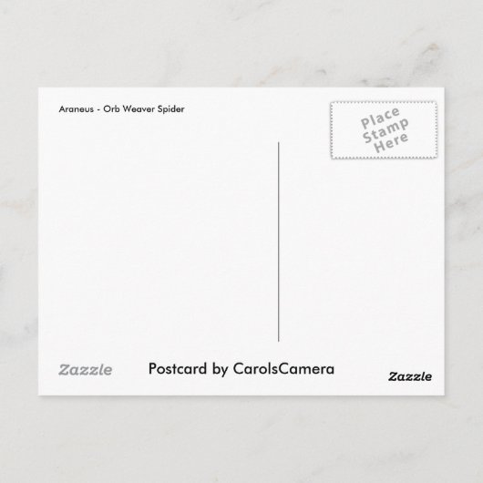 Carte postale Araneus Orb Weaver Spider (Dos)