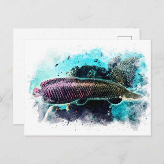 Carte Postale Arapaima Monster Poisson Aquarelle Pirarucu Paiche (Devant / Derrière)