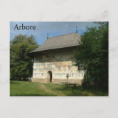 Carte Postale Arbore (Devant)