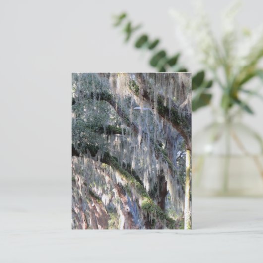 Carte Postale Arborescence (Debout devant)