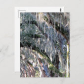 Carte Postale Arborescence (Devant / Derrière)