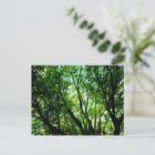 Carte Postale Arborescence (Debout devant)