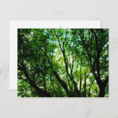 Carte Postale Arborescence (Devant / Derrière)