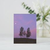Carte Postale Arborescence 2 (Debout devant)