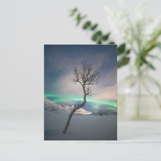 Carte Postale Arborescence boréale (Debout devant)