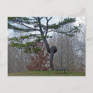 Carte Postale Arborescence tronquée