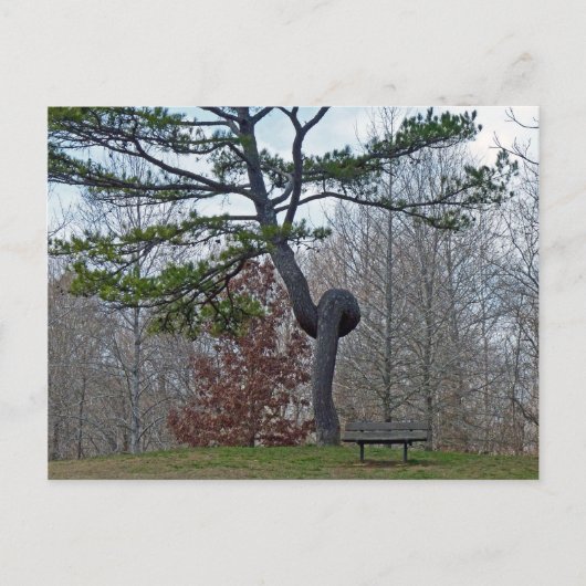 Carte Postale Arborescence tronquée (Devant)
