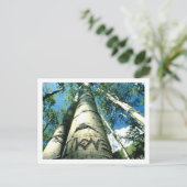 Carte Postale Arbre (Debout devant)