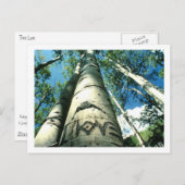 Carte Postale Arbre (Devant / Derrière)