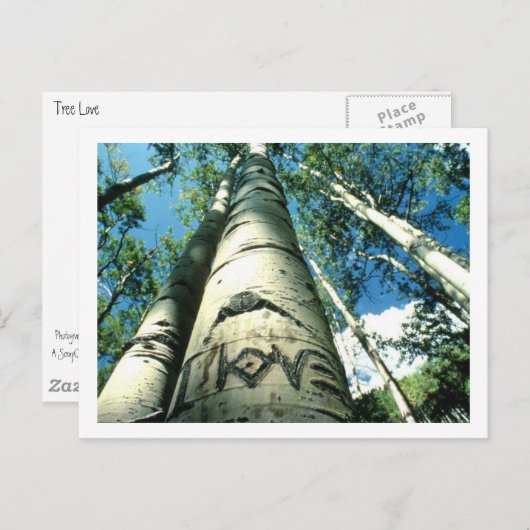 Carte Postale Arbre (Devant / Derrière)