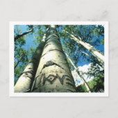 Carte Postale Arbre (Devant)