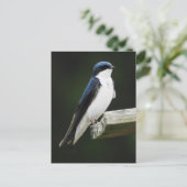 Carte postale Arbre (Debout devant)