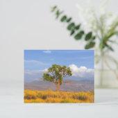 Carte Postale Arbre (Debout devant)