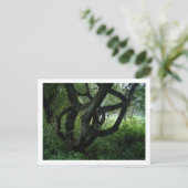 Carte Postale Arbre (Debout devant)