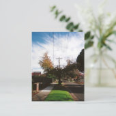 Carte Postale arbre (Debout devant)