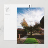 Carte Postale arbre (Devant / Derrière)