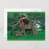 Carte Postale arbre (Devant / Derrière)