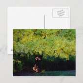 Carte Postale arbre (Devant / Derrière)