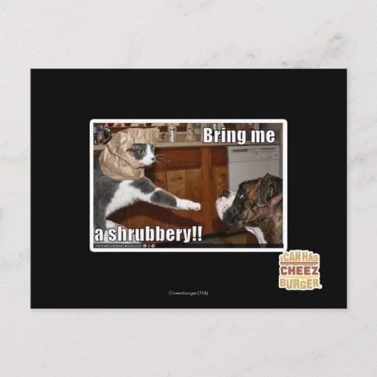 Carte Postale Arbre (Devant)