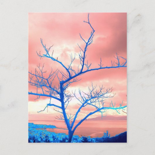 Carte Postale arbre (Devant)