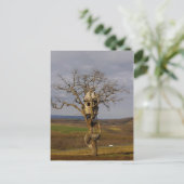 Carte Postale Arbre (Debout devant)